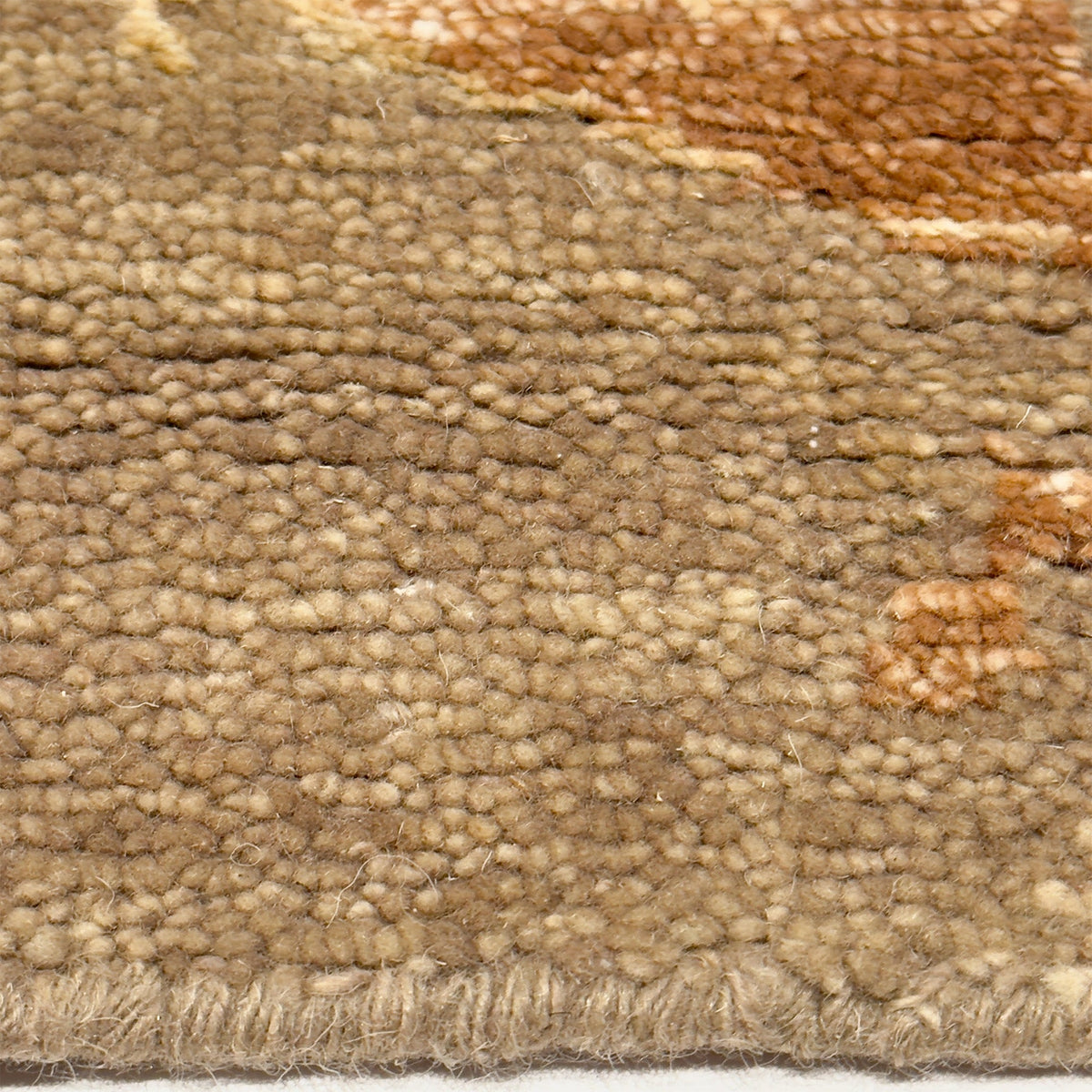 Calypso Reef
