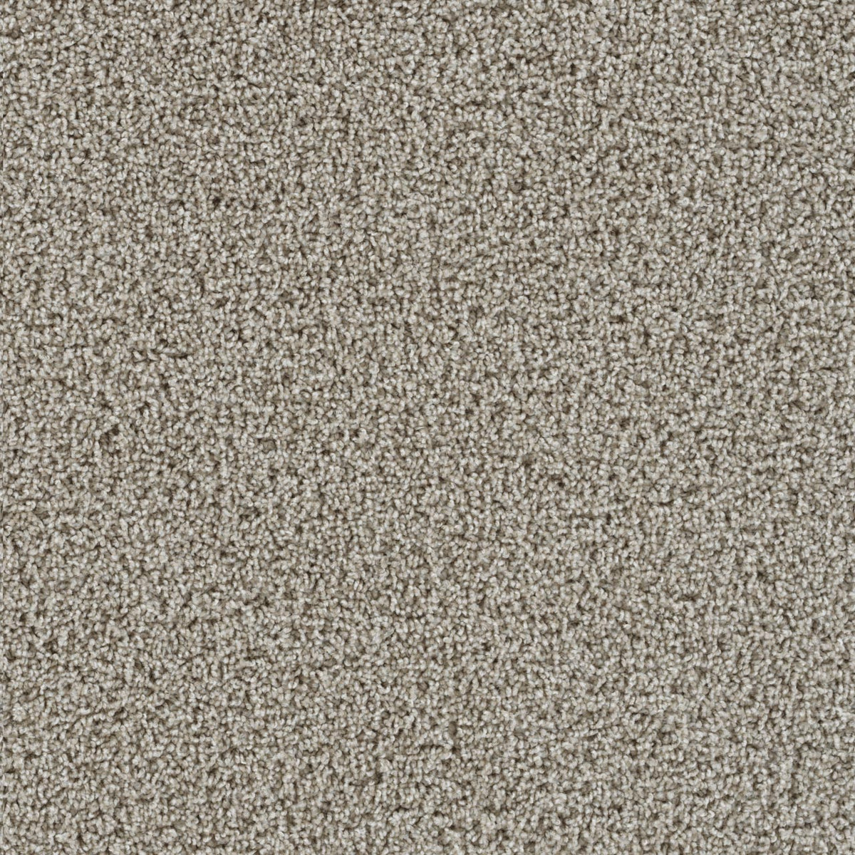 Tracker Carpet - Cameo