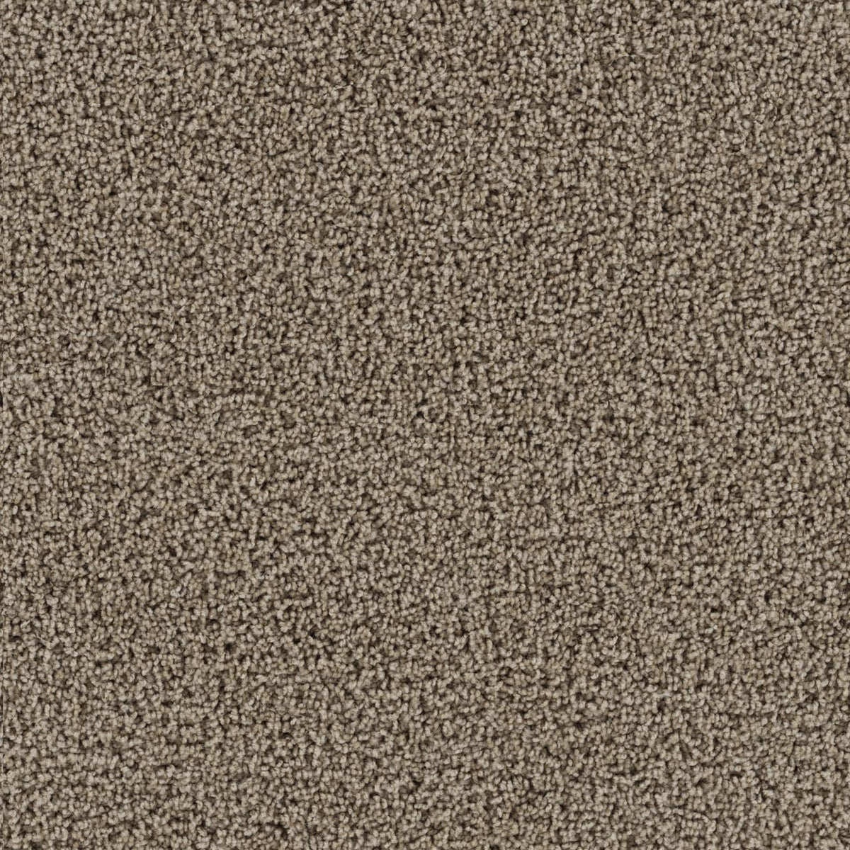 Tracker Carpet - Doeskin