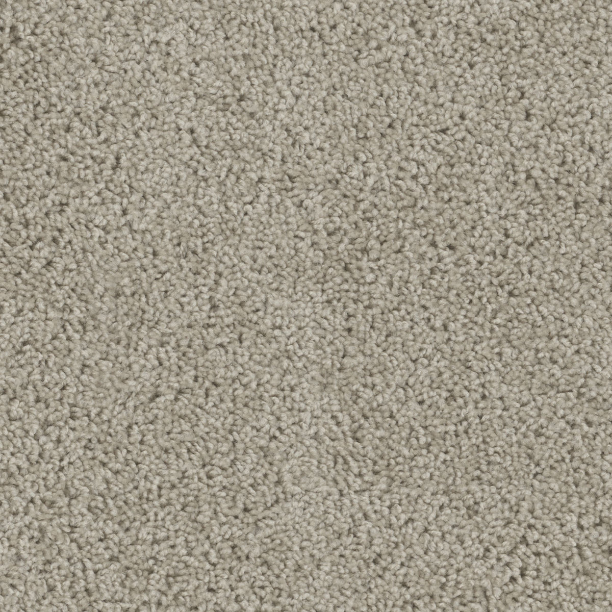 Tracker Carpet - Flax Beige