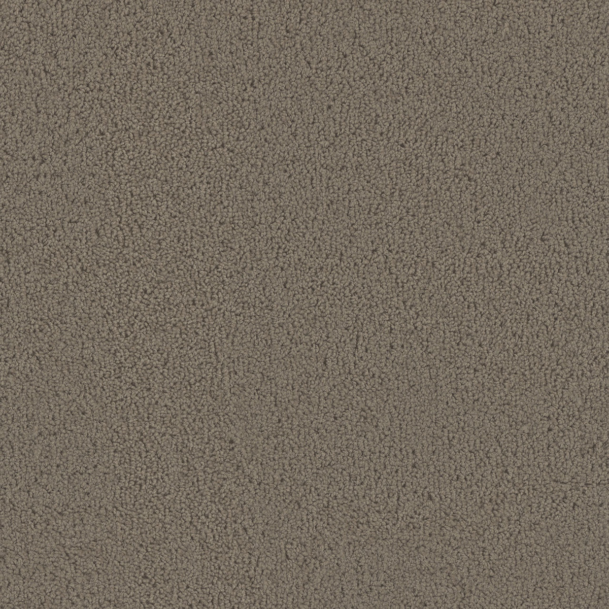 Tracker Carpet - Barnwood