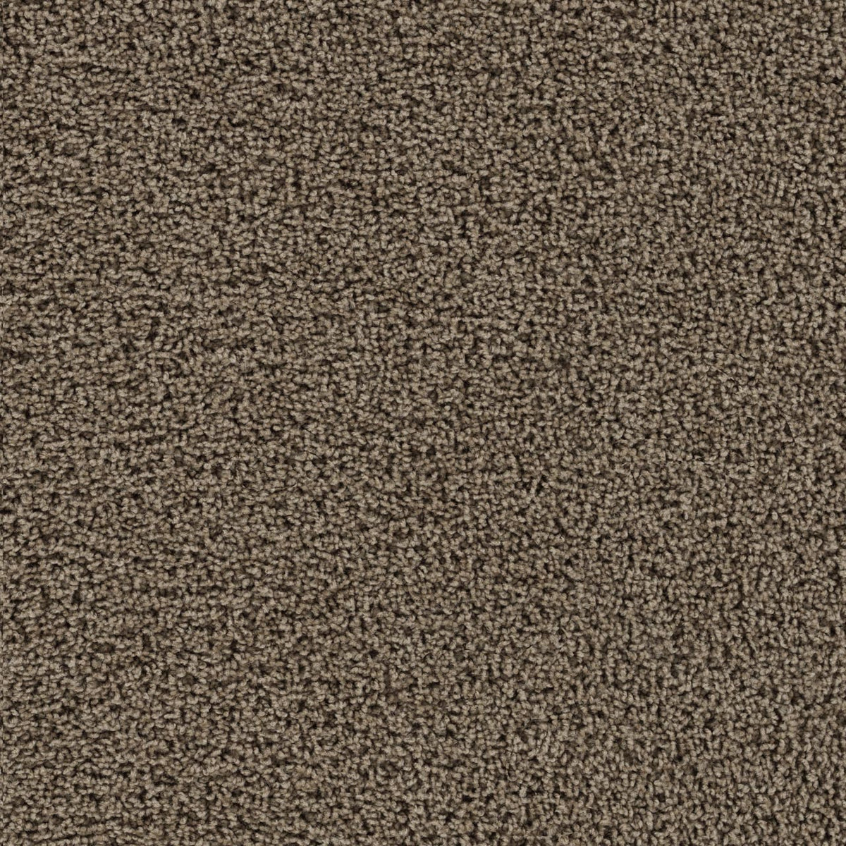 Tracker Carpet - Taupe