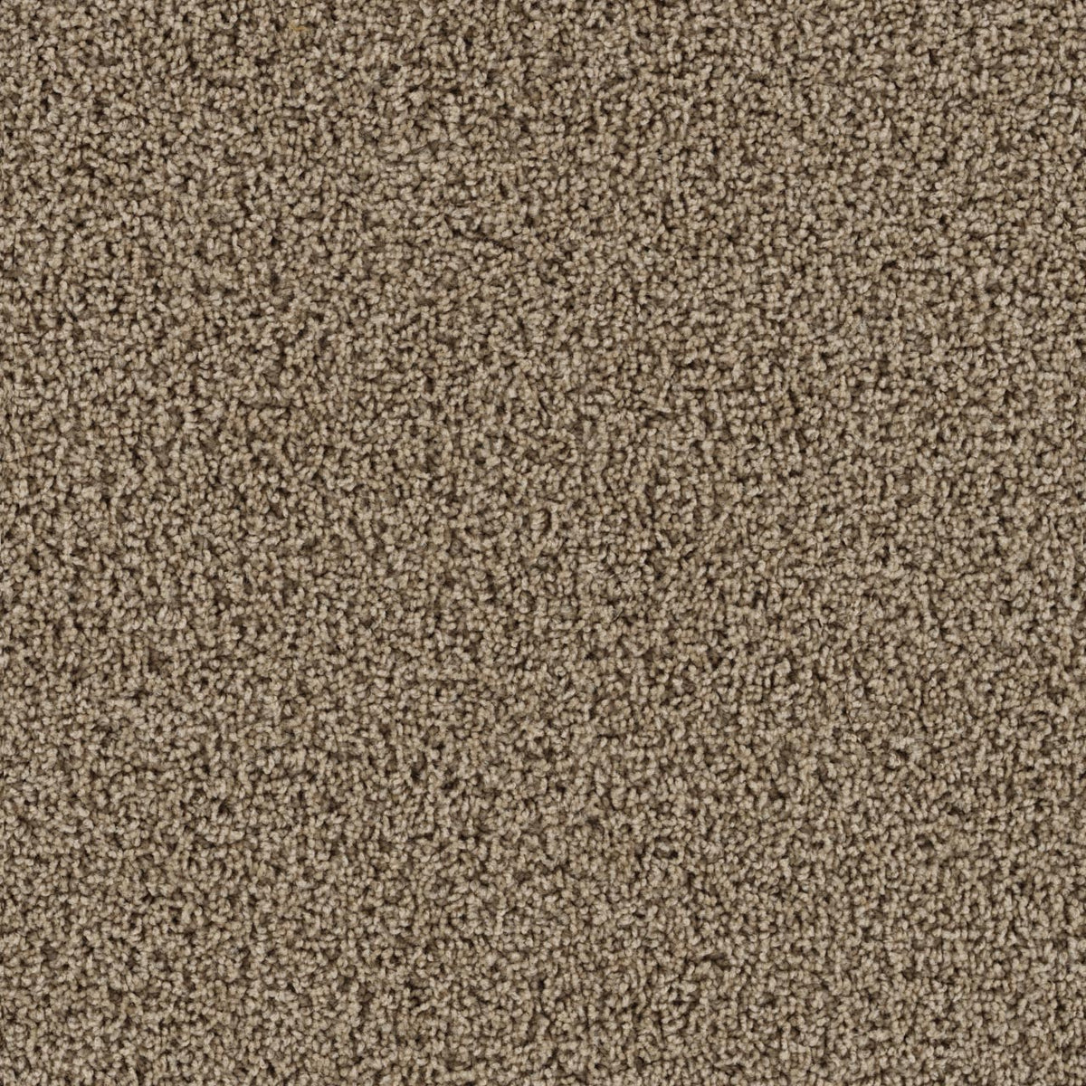 Tracker Carpet - Sandstone