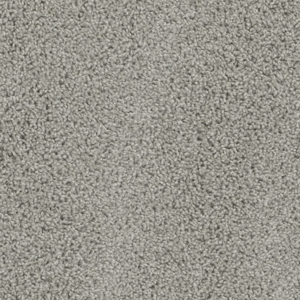 Tracker Carpet - Dove