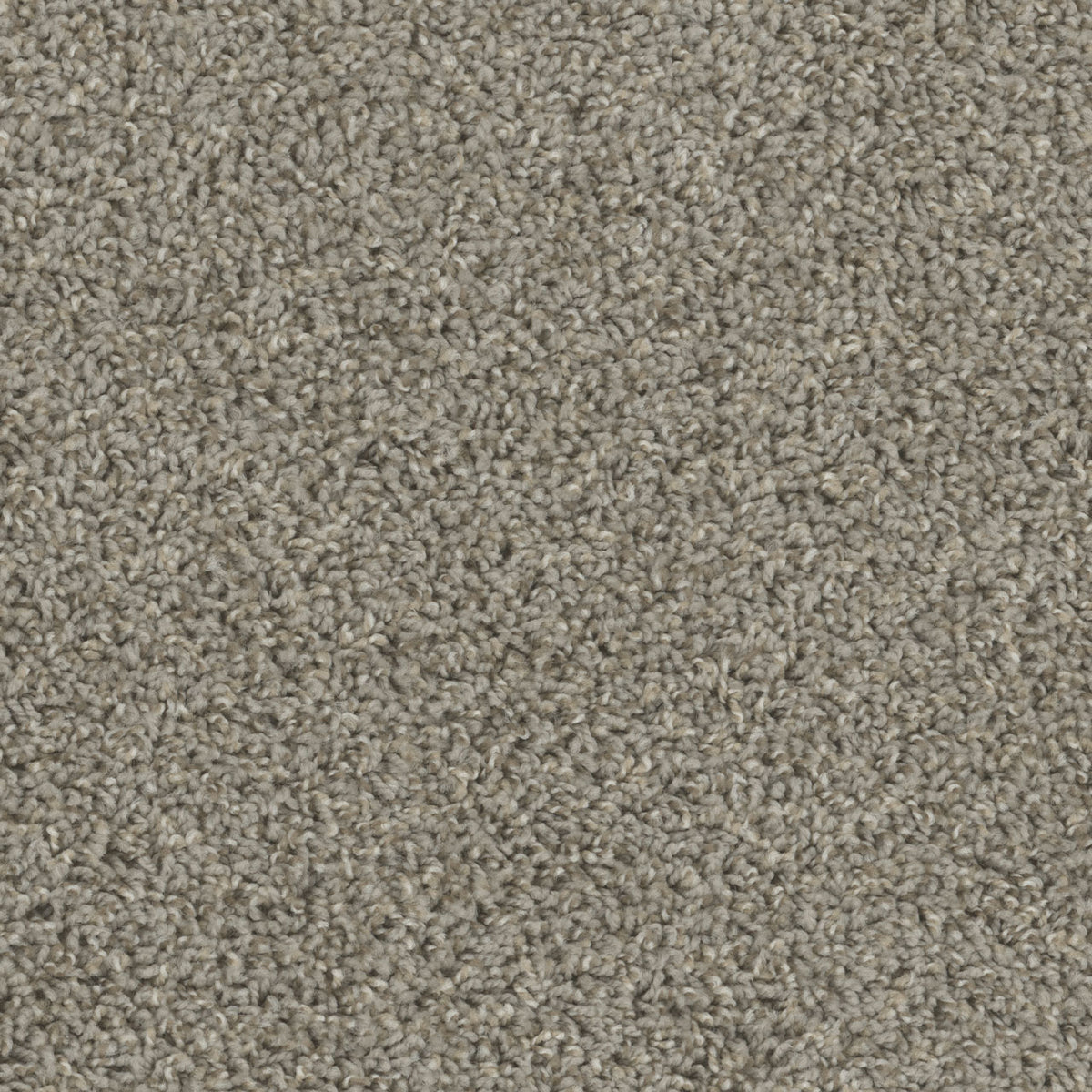 Tracker Carpet - Cinder