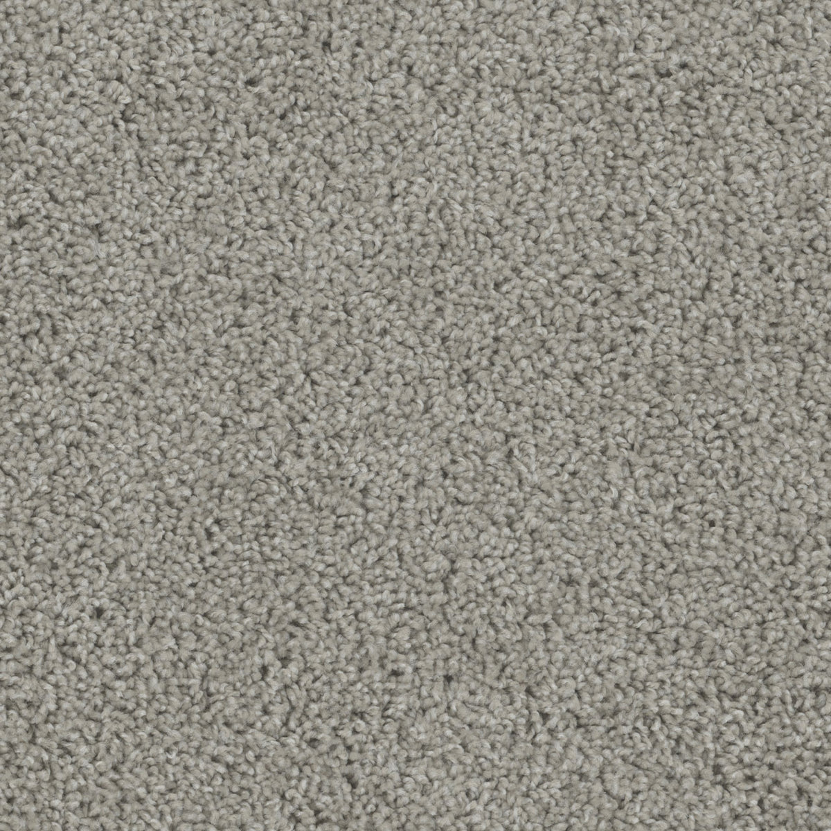 Tracker Carpet - Chrome