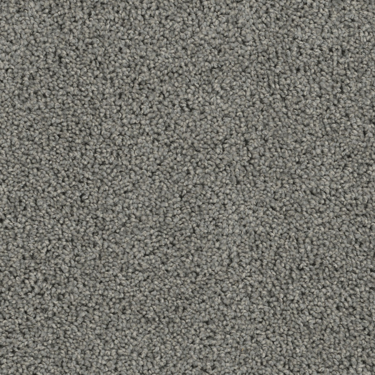 Tracker Carpet - Bayside