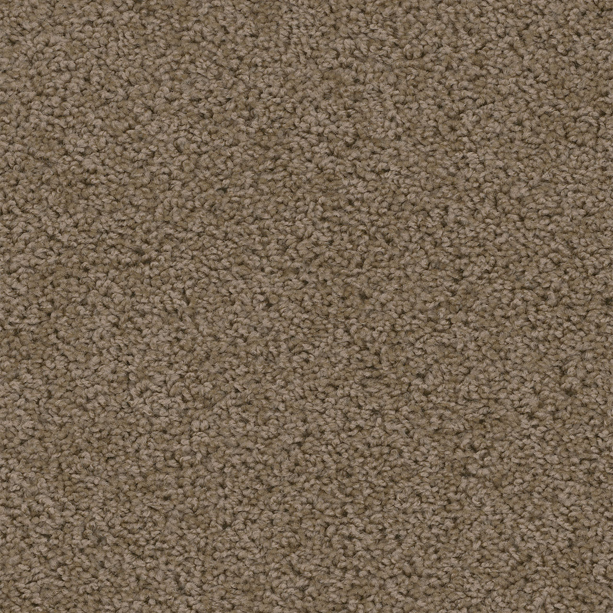 SWEEPSTAKES - Taupe