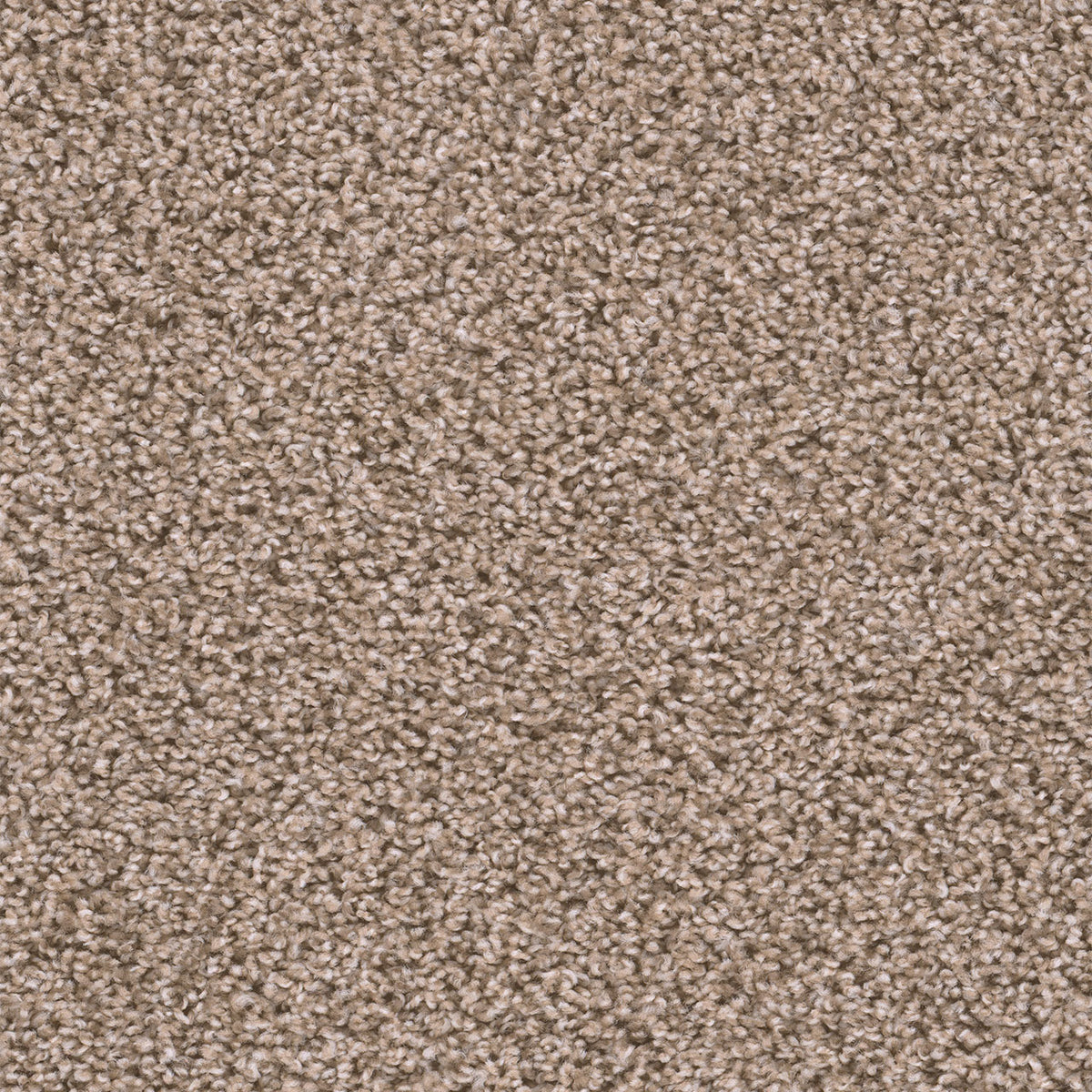 SWEEPSTAKES - Claystone