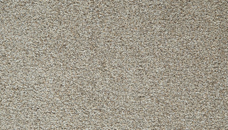 Mohawk Flooring Cozy Companion II