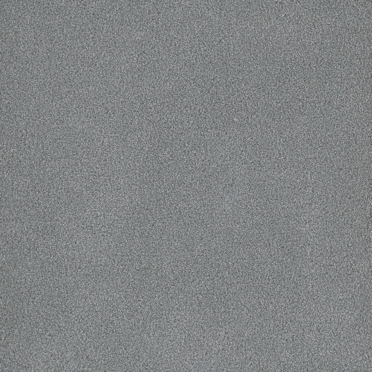 Palmetto III - Skylight
