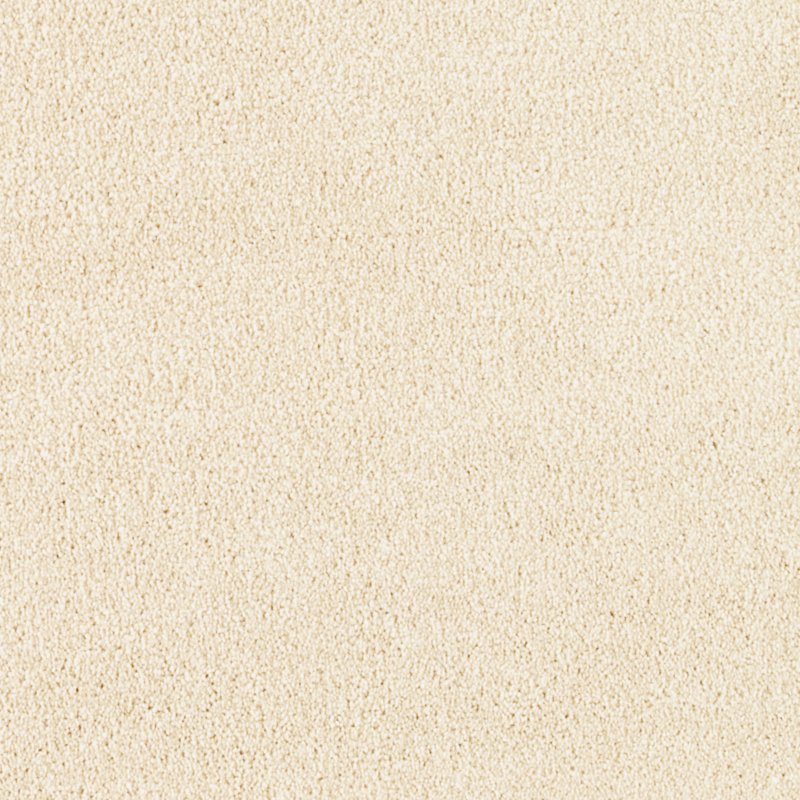 Mohawk Flooring Vivid Instinct