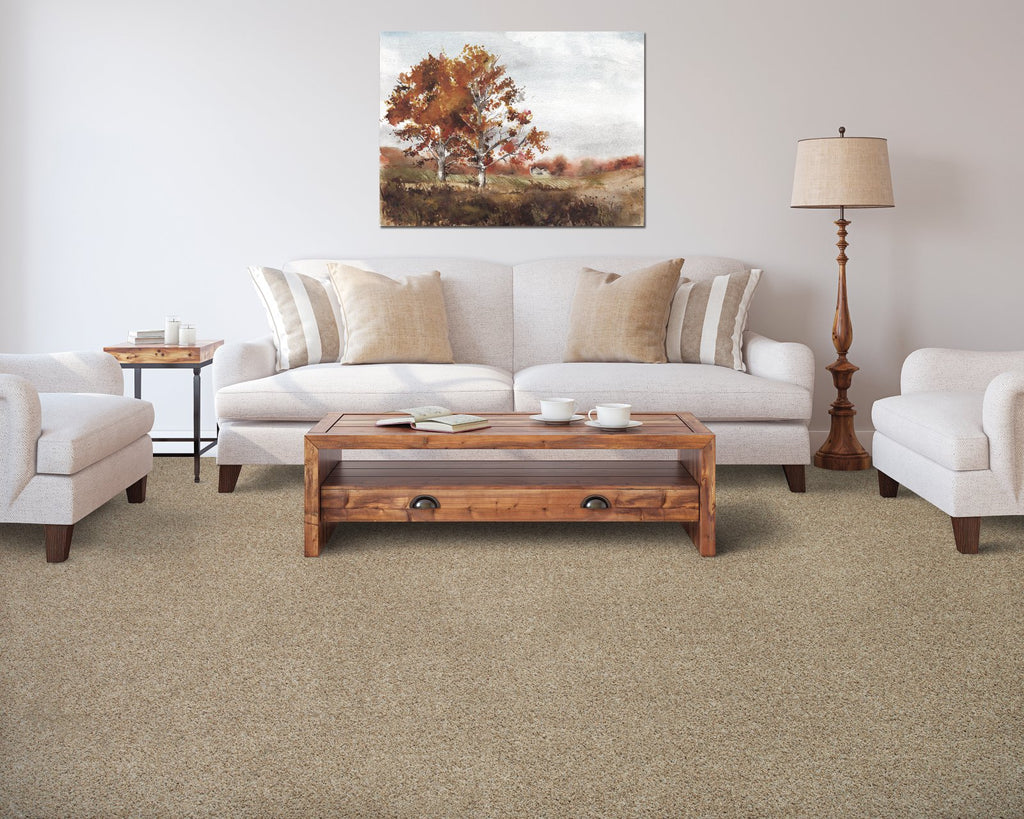 Mohawk Flooring Color Fusion II - room scene