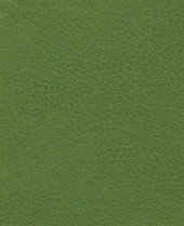 Brisa 33-4448 - Apple Green #1