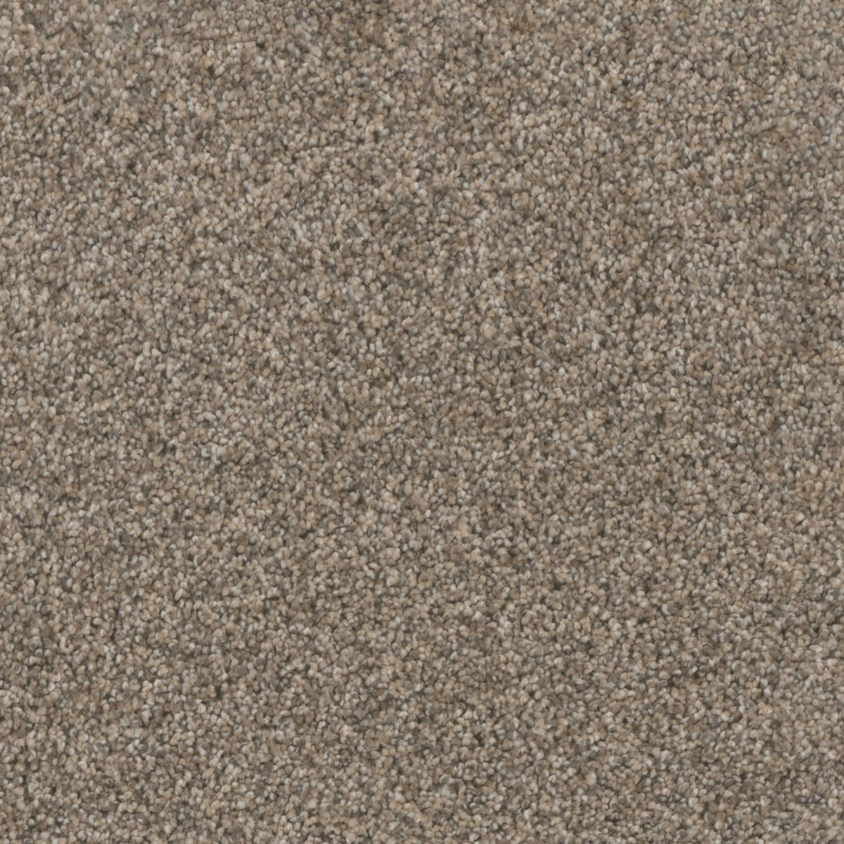 Trendsetter II - Oxford Stone
