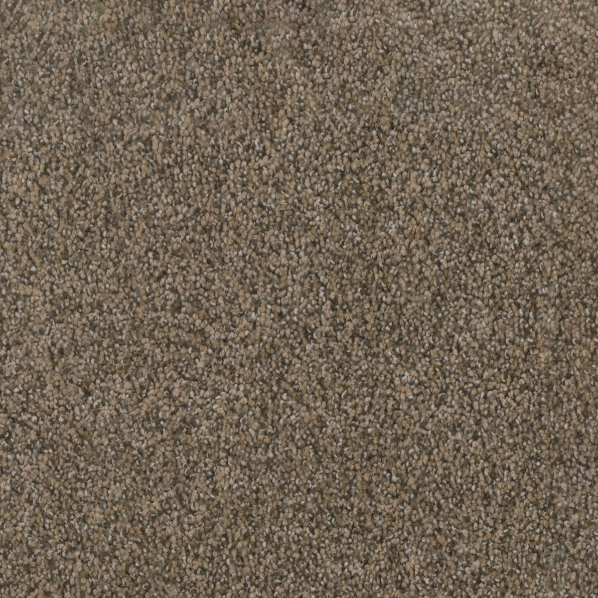 Trendsetter II - Smokey Taupe