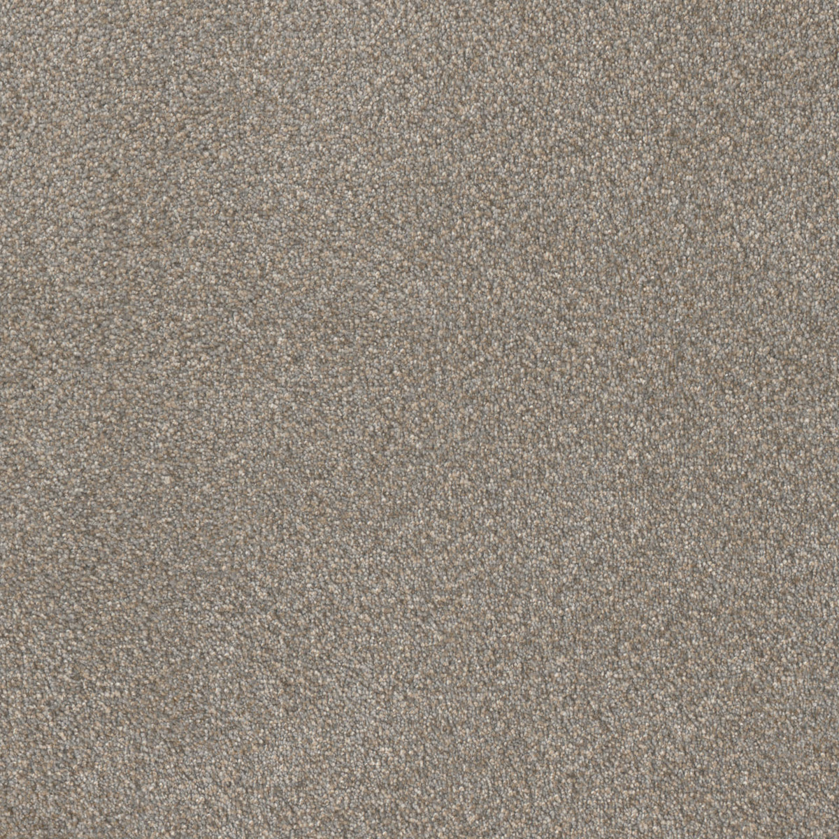 Star Struck - Ancient Marble