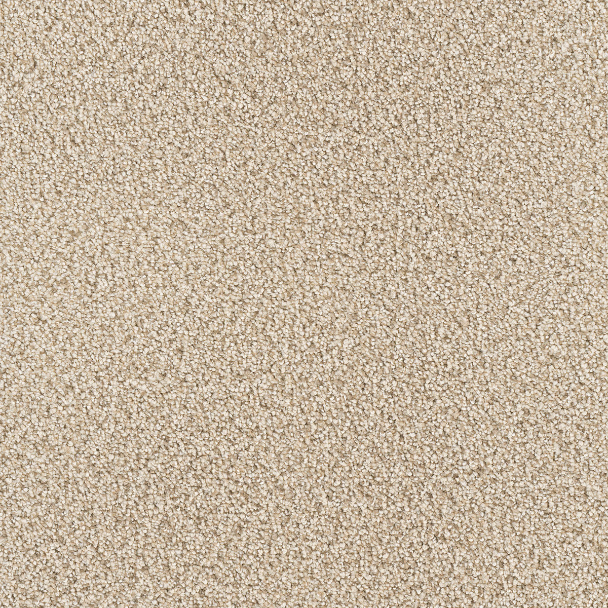 Star Struck - Linen