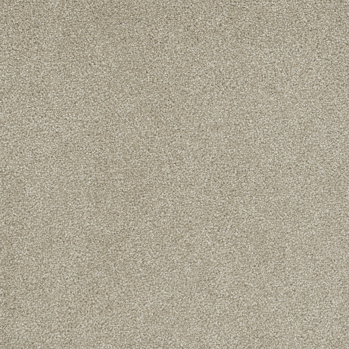 Rock Solid III - Cream