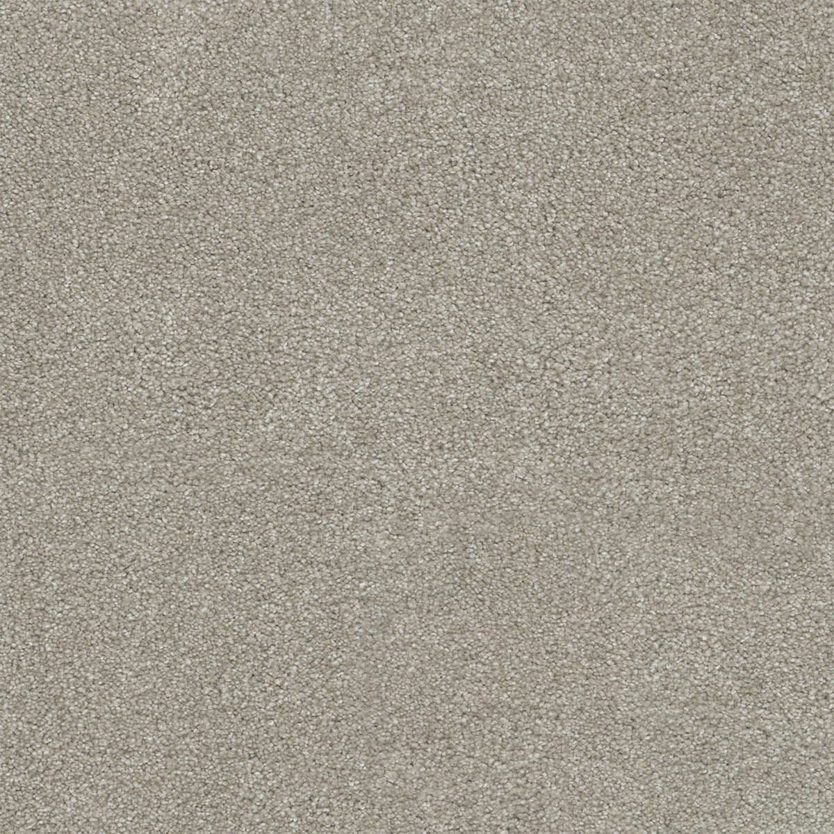 Rock Solid I - Parchment