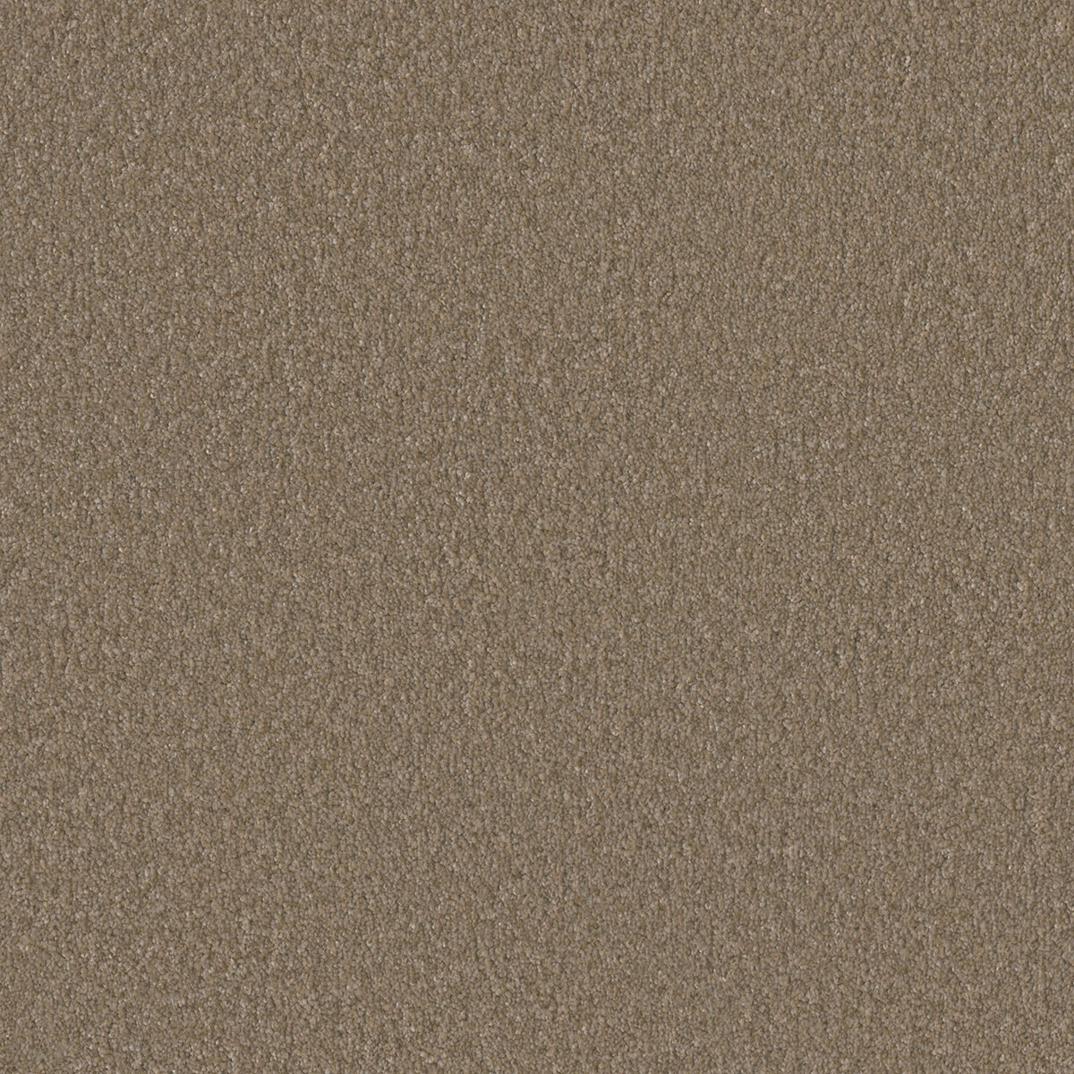 Rock Solid I - Fox Tail