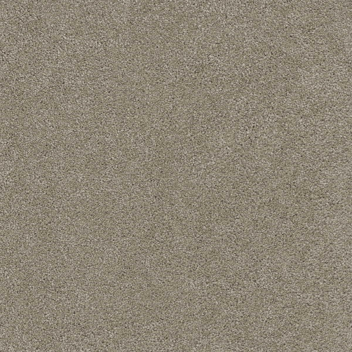 Rock Solid III - Warm Teak