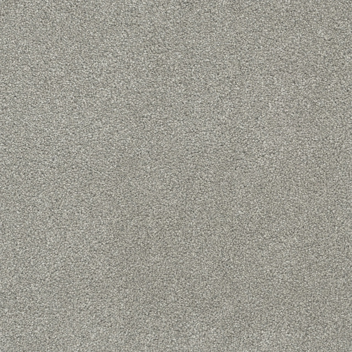 Rock Solid I - Dove