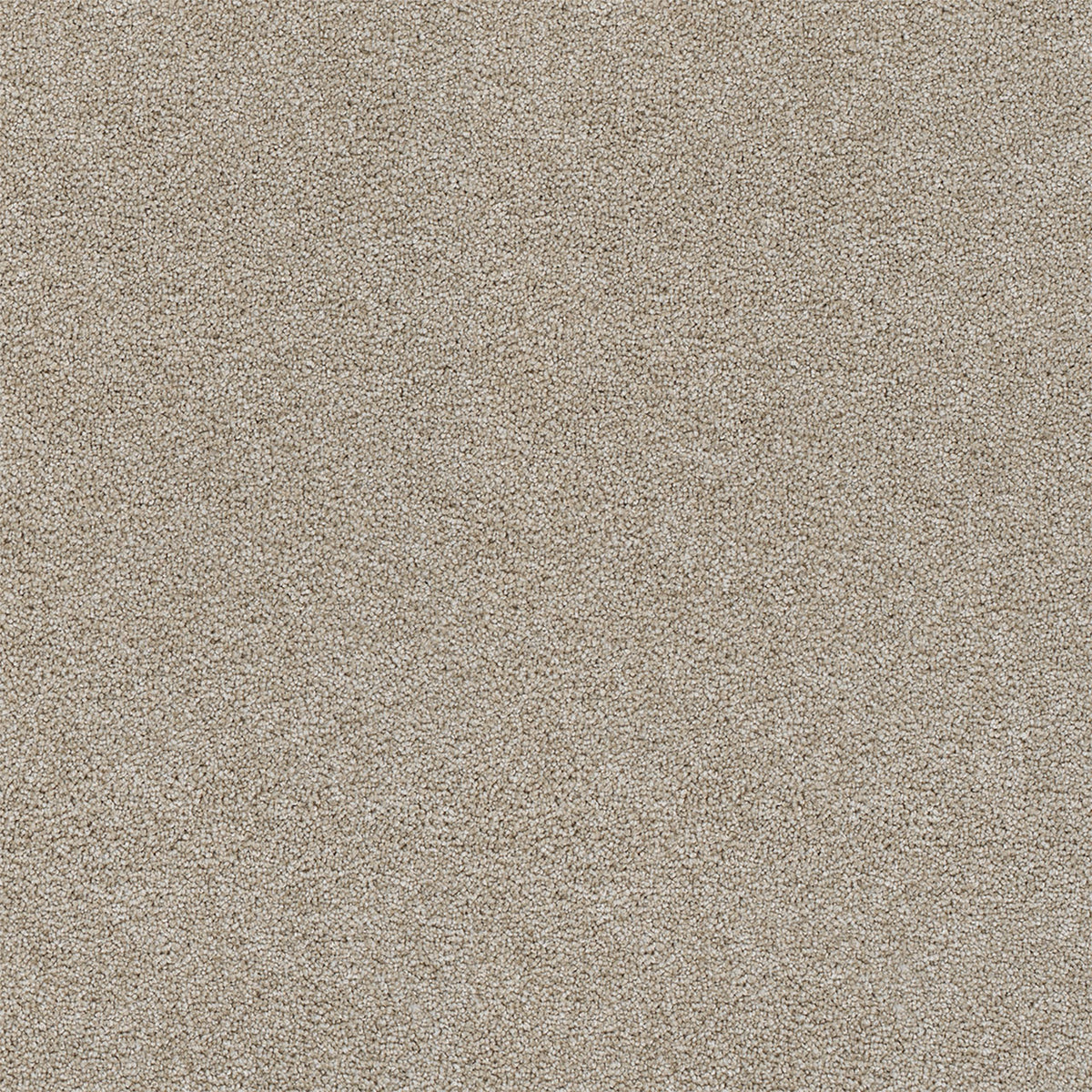 Rock Solid III - Beach Sand