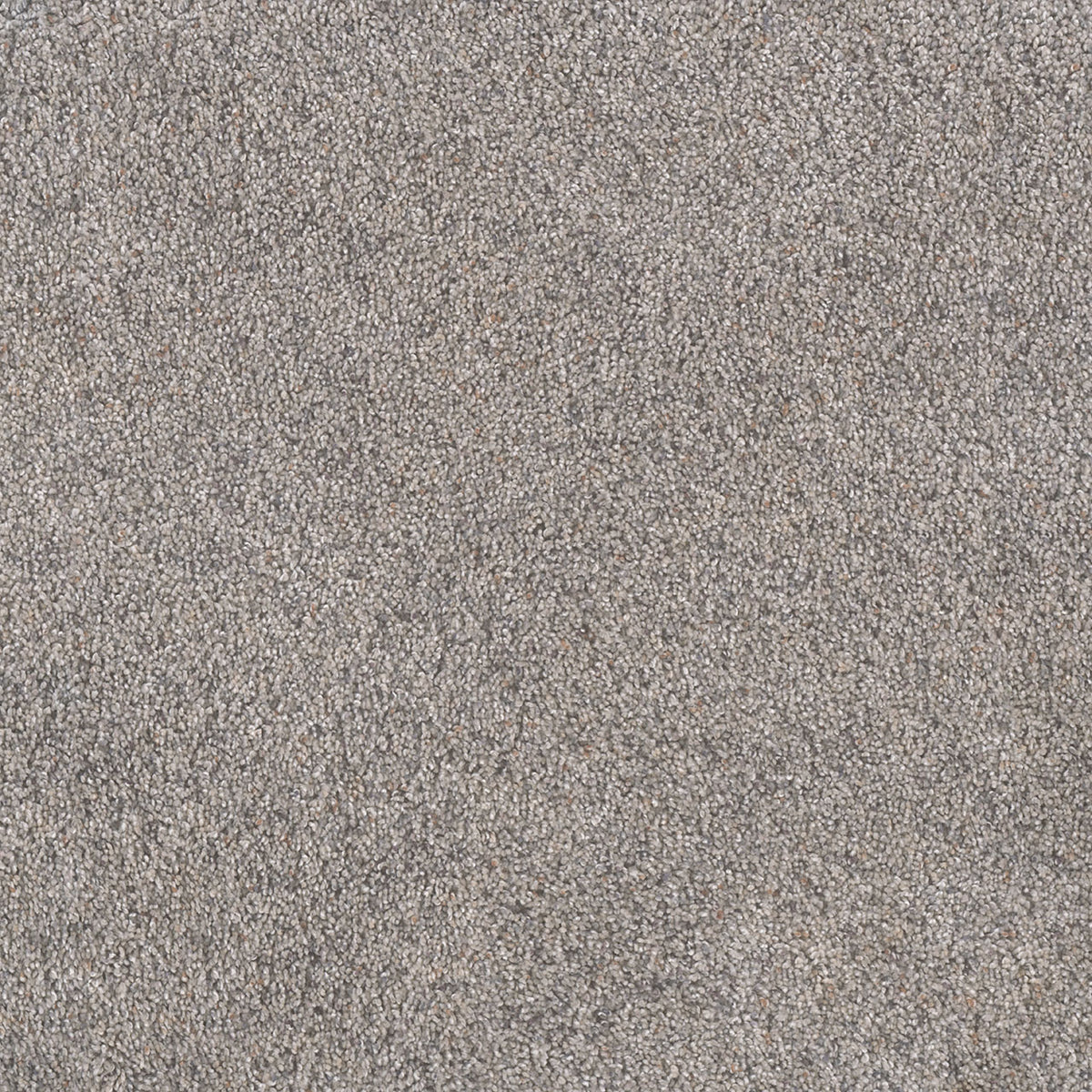 Rustic Retreat I - Dried Sage