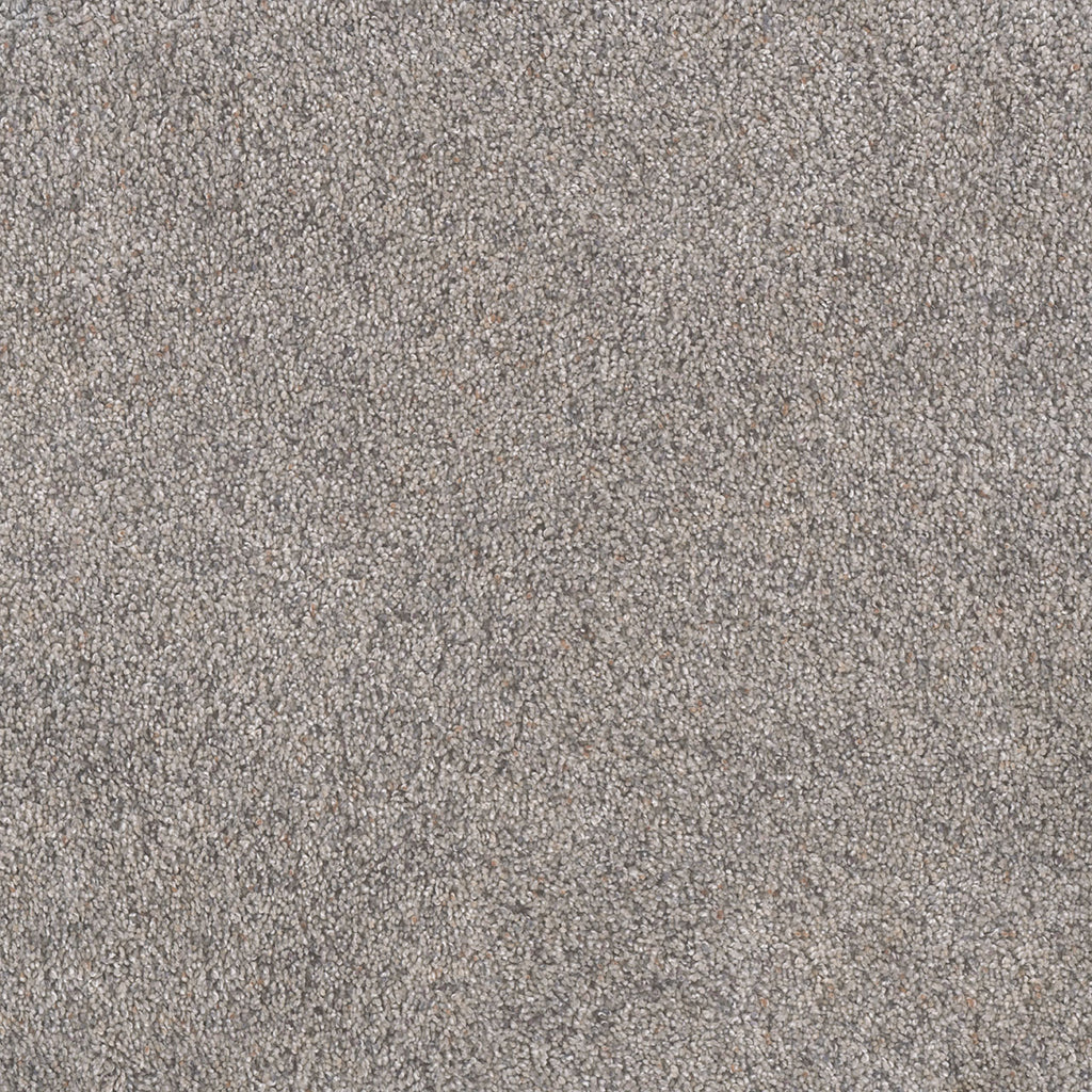 Rustic Retreat II - Dried Sage