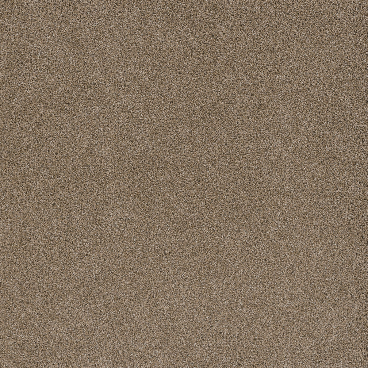 Stunning - Straw