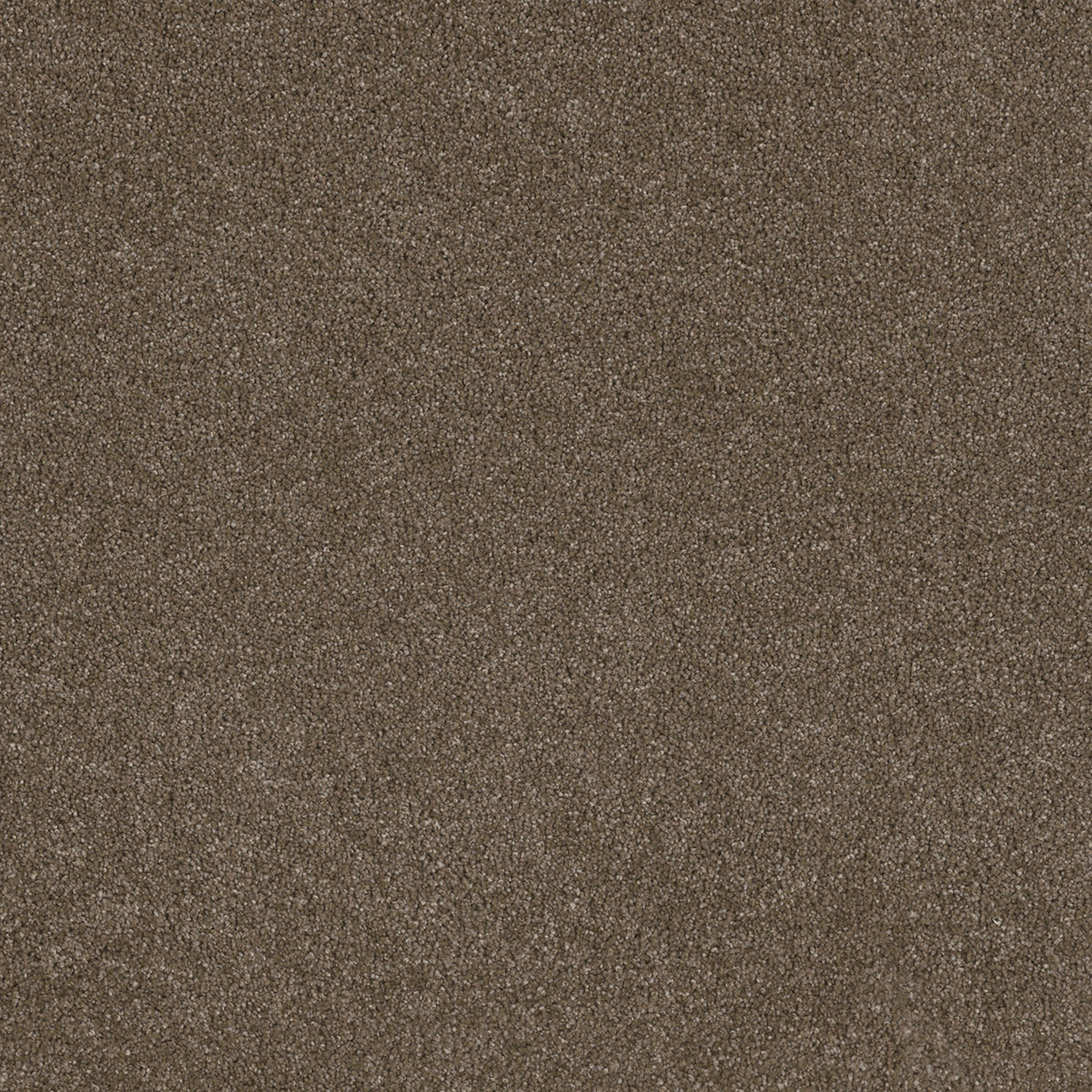 Titan III - Peppercorn