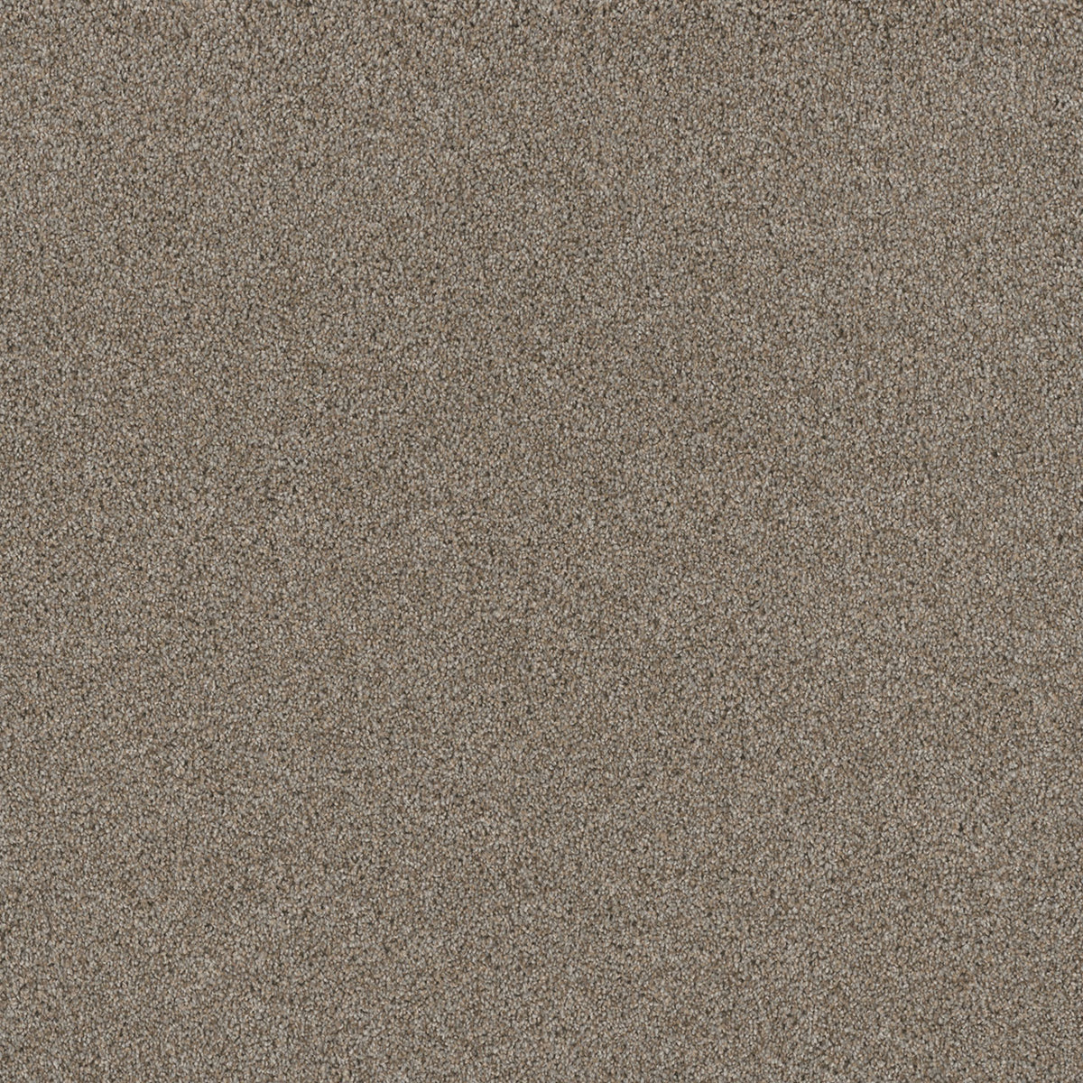 Stunning - Iron Frost