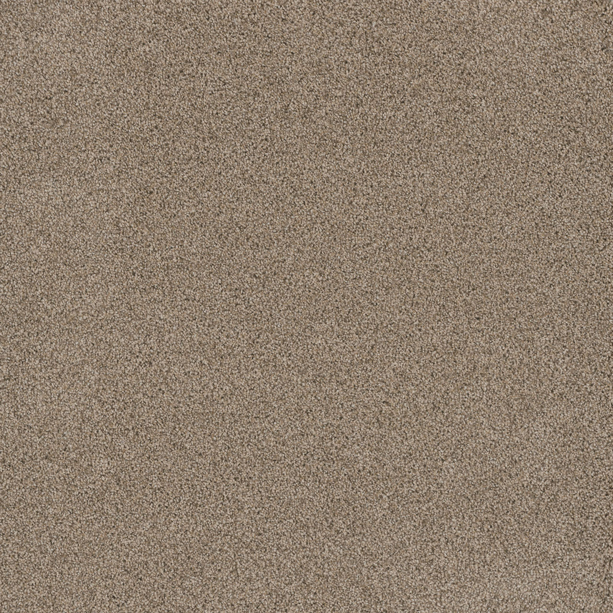 Stunning - Linen