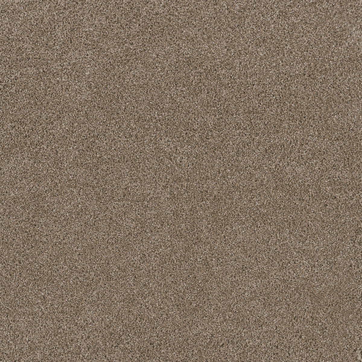 Stunning - Tumbleweed