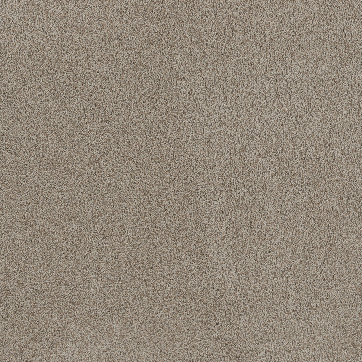 Stunning - Stucco