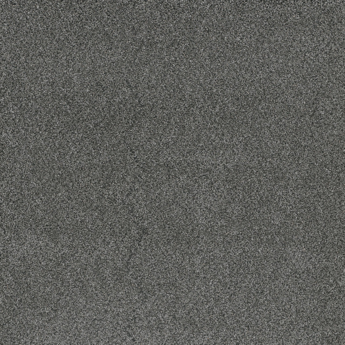Stunning - Zinc