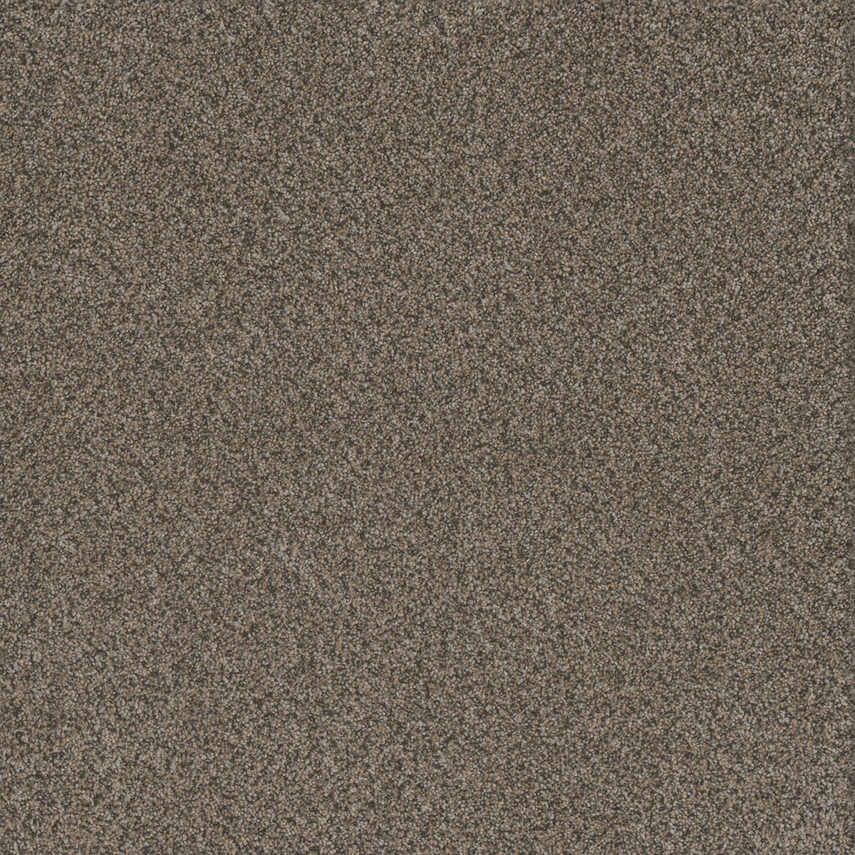 Titan II - Honeycomb