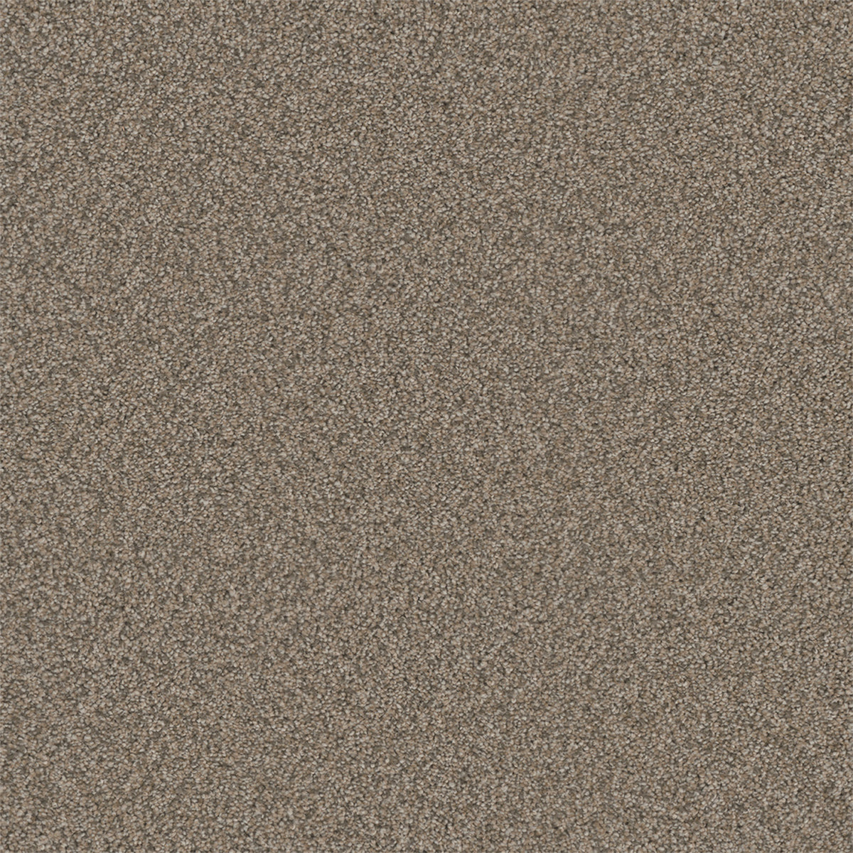 Royale I - Umber