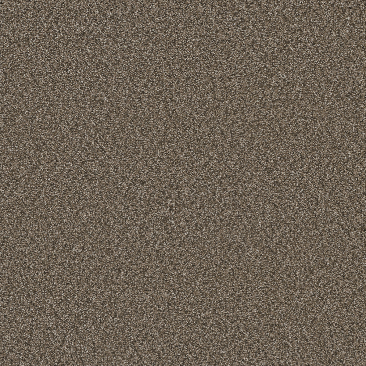 Royale I - Fawn