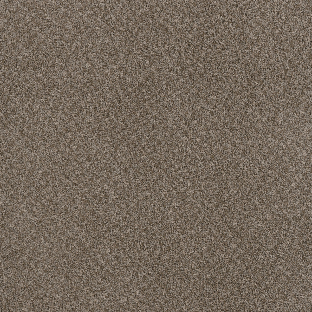 TOAST OF THE TOWN - English Stone