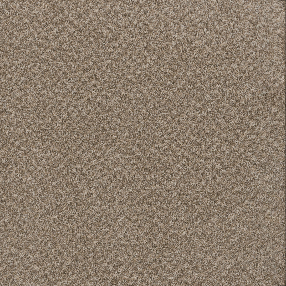 TOAST OF THE TOWN - Natural Cotton