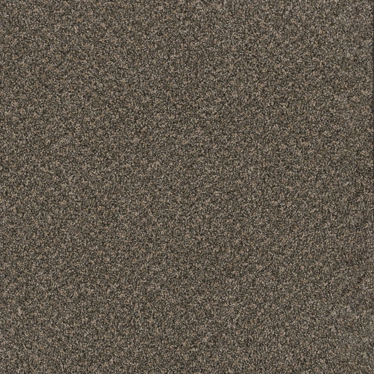 TOAST OF THE TOWN - Wrought Iron