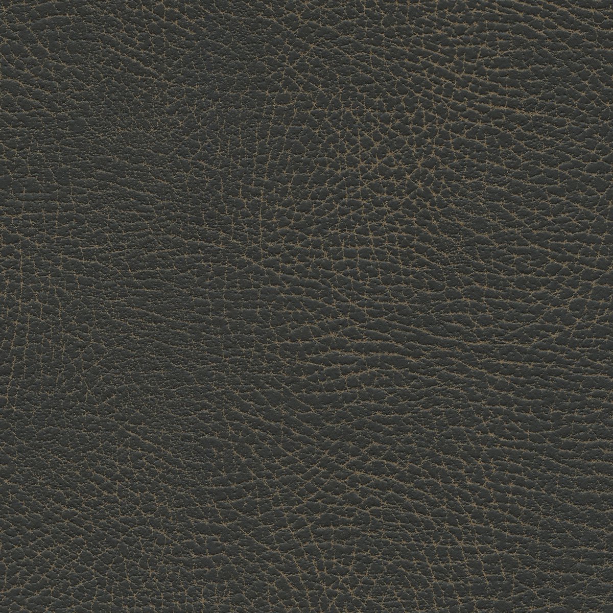 535-3974 Steerhide.jpg