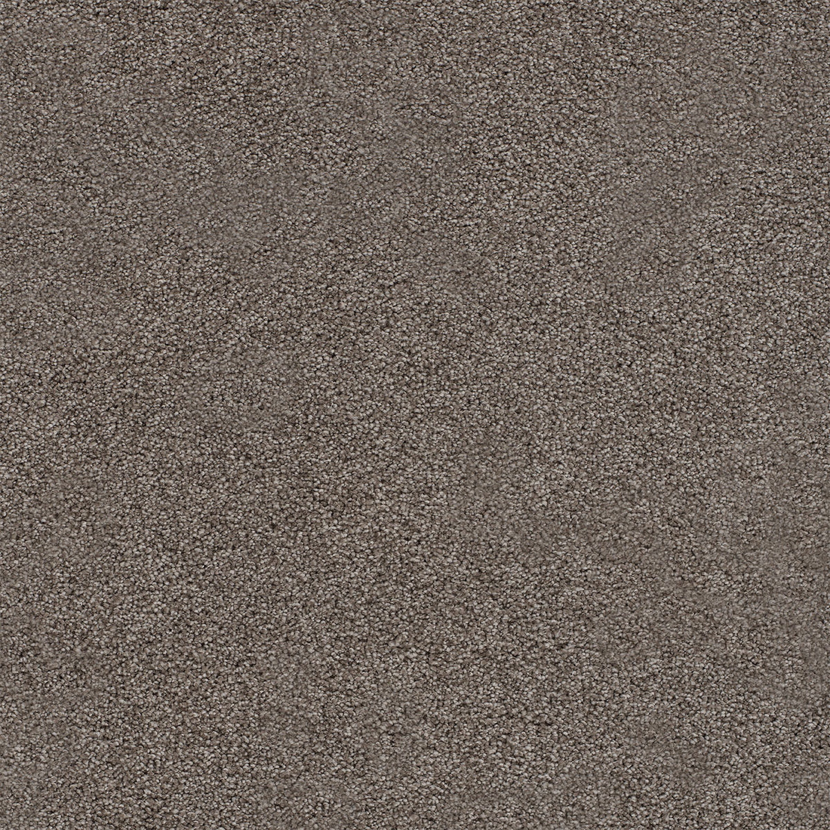 Spectrum II - Gardner Soil