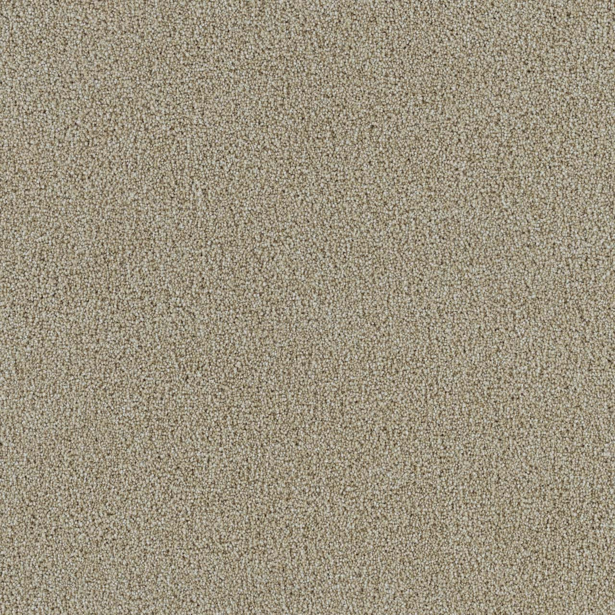 Spectrum II - Cream