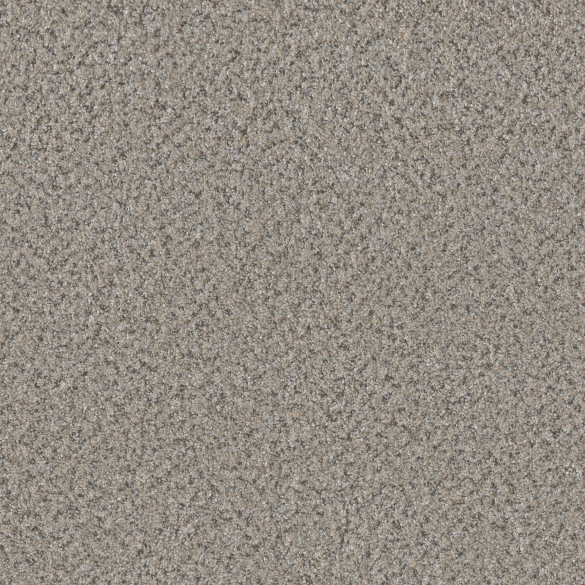 Timberline II - Celestial