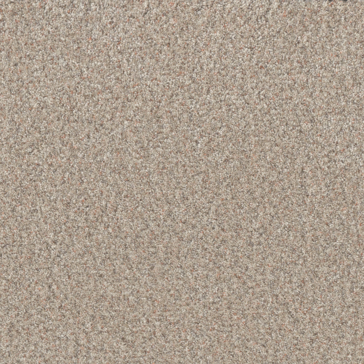 Timberline II - Blossom