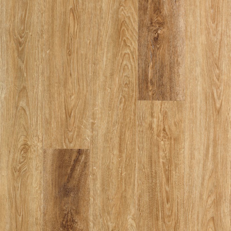 Mohawk Flooring Explorer's Forest