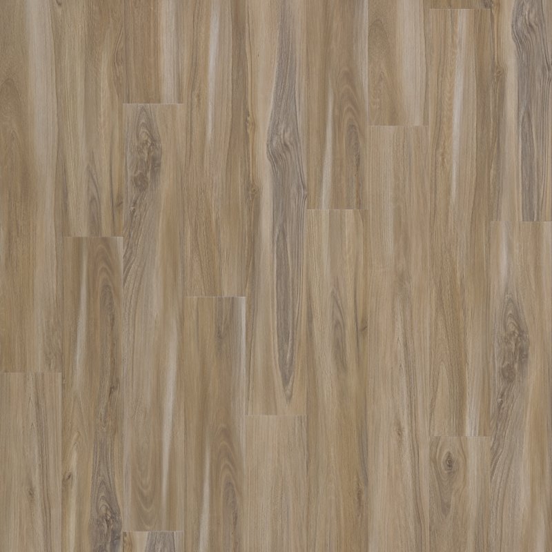 Mohawk Flooring Explorer's Forest